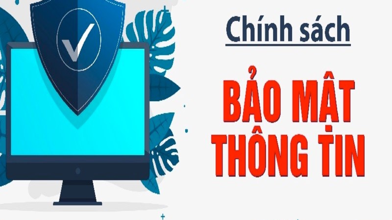 Trách nhiệm của người chơi trong chính sách bảo mật